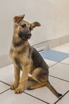 Layla 0247