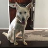 Maddie 0248