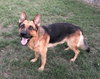 Axel 0271