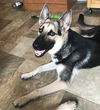 Diego 0277