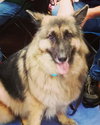 Joey 0280