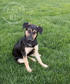 Bugsy 0066