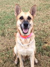 Ruby 0288
