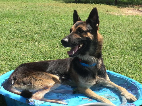 Duke 0289