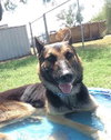 Duke 0289