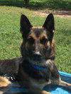 Duke 0289