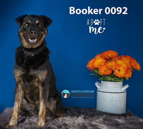 Booker 0092