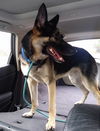 Baxter 0310