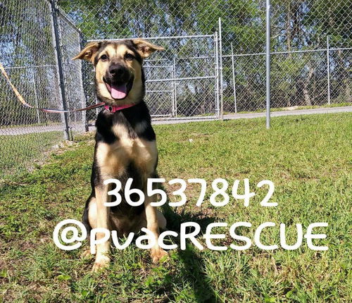 Macy 0312