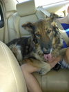 Izzy 0319