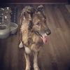 Izzy 0319