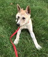 Willow 0323