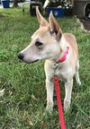 Willow 0323