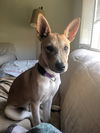 Willow 0323