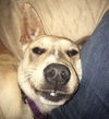 Willow 0323