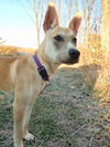 Willow 0323