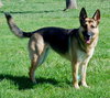 Josie 0085