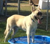 Tony 0339