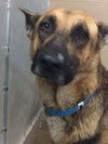 Jethro 0346