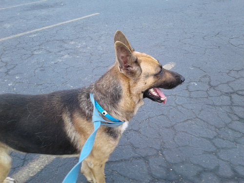 Jethro 0346