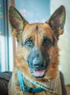 Billy 0360