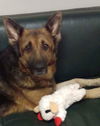 Lady 0361