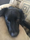 Parker 0365