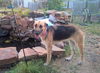 Darla 0344