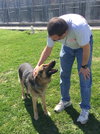 Brody 0385