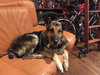 Jubilee 0391