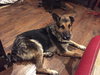 Jubilee 0391