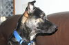 Jack 0403