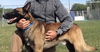 Barron 0408
