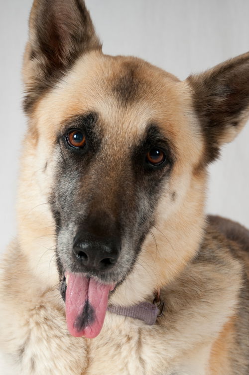 Fiona 0409