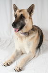 Fiona 0409