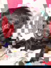 Daffy 0444 (Daria pup)