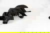 Daffy 0444 (Daria pup)