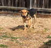 Annie 0441