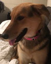 Annie 0441