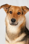 Annie 0441