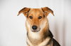 Annie 0441