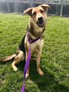 Annie 0441