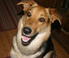 Annie 0441
