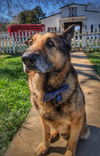 Woodrow 0424