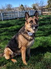 Edith 0425