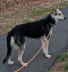 Nala 0469