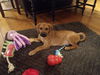 Abigail 0470