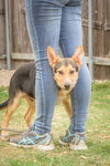 Koda 0478