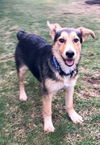 Hailey 0479