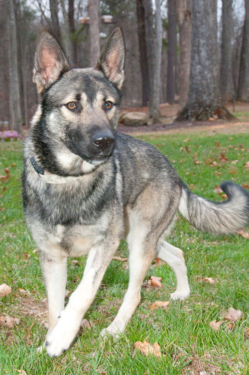 Boone 0489